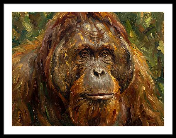 Orangutan Portrait In Nature