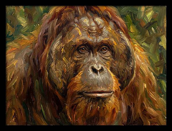 Orangutan Portrait In Nature