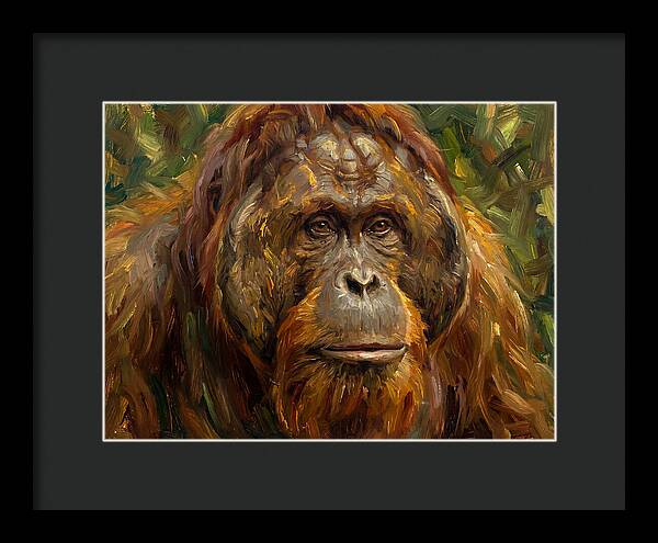 Orangutan Portrait In Nature