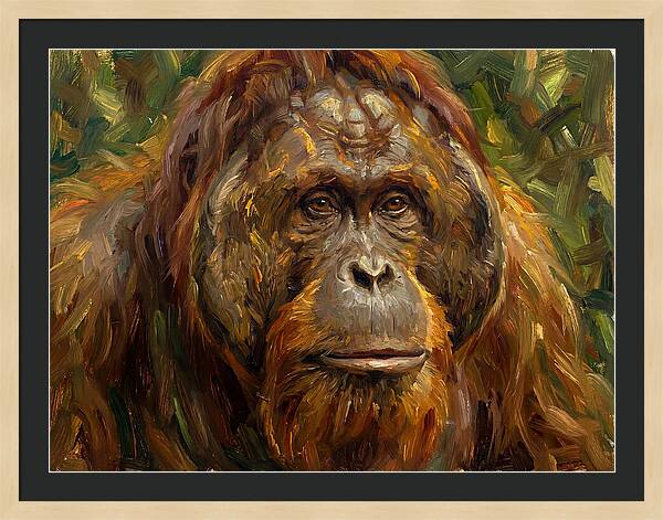 Orangutan Portrait In Nature