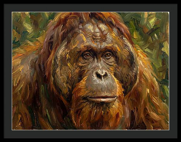Orangutan Portrait In Nature