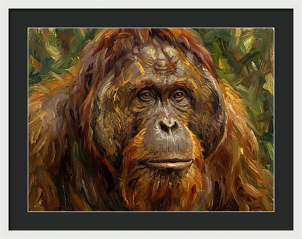Orangutan Portrait In Nature