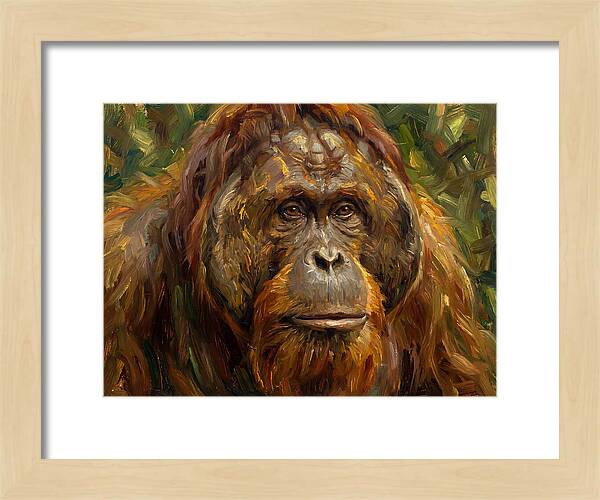 Orangutan Portrait In Nature
