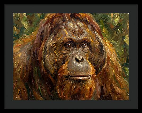 Orangutan Portrait In Nature