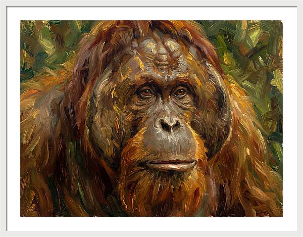 Orangutan Portrait In Nature