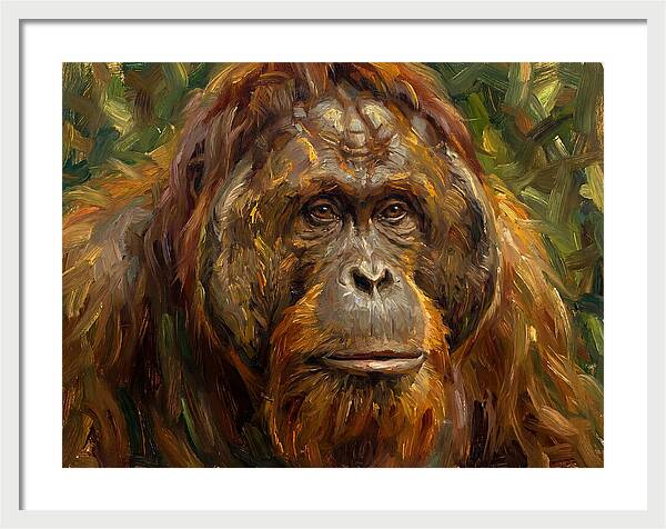 Orangutan Portrait In Nature