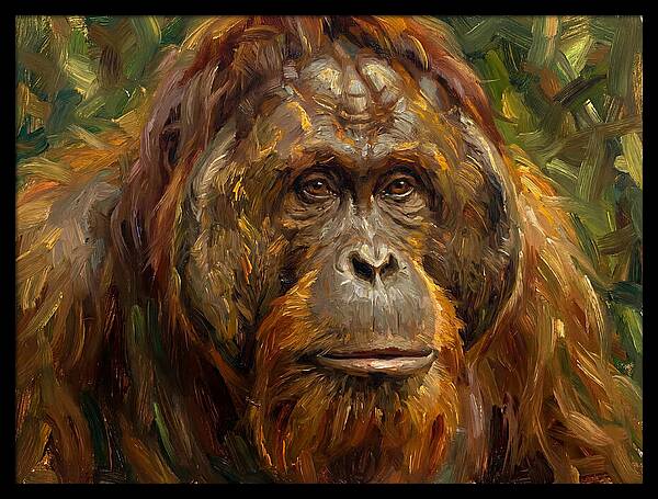 Orangutan Portrait In Nature