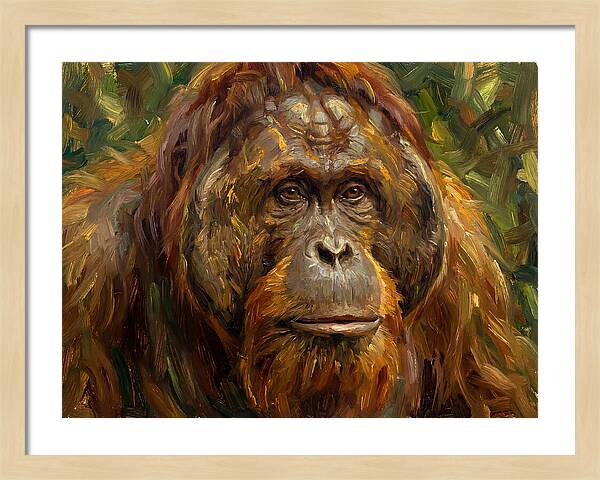 Orangutan Portrait In Nature