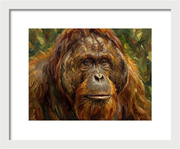 Orangutan Portrait In Nature