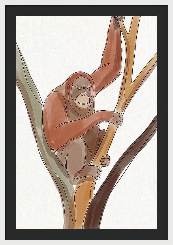 Orangutan Tree Dweller