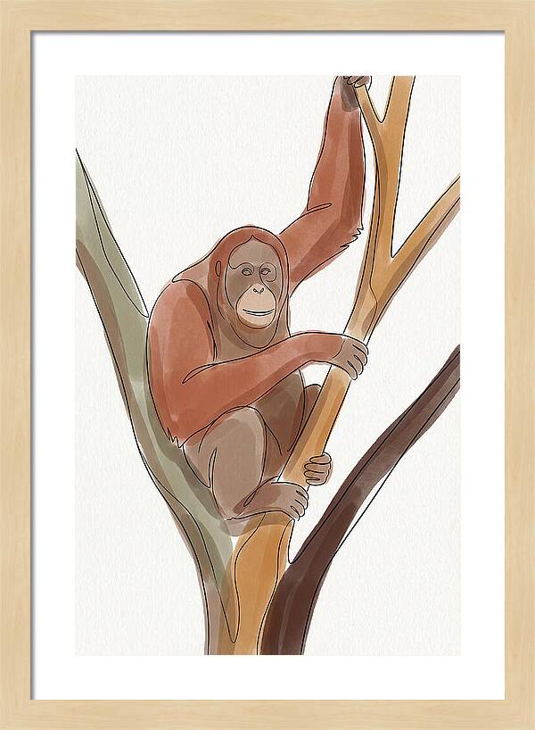 Orangutan Tree Dweller
