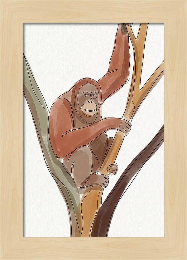 Orangutan Tree Dweller