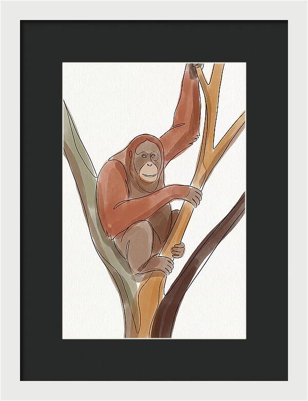 Orangutan Tree Dweller