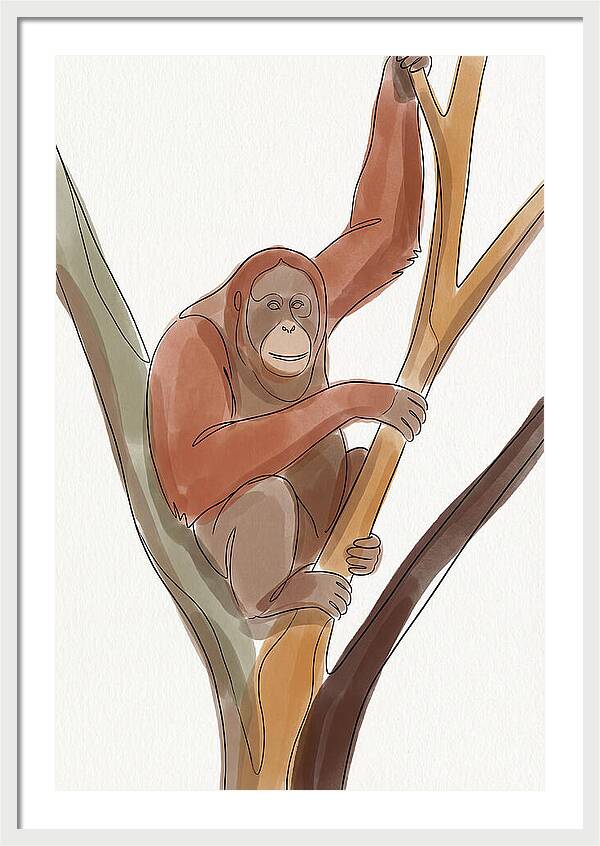 Orangutan Tree Dweller