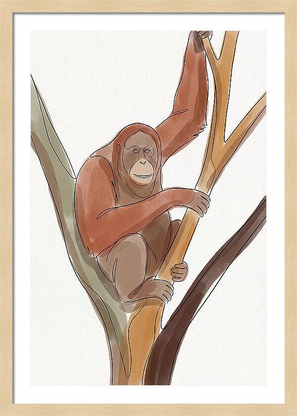 Orangutan Tree Dweller