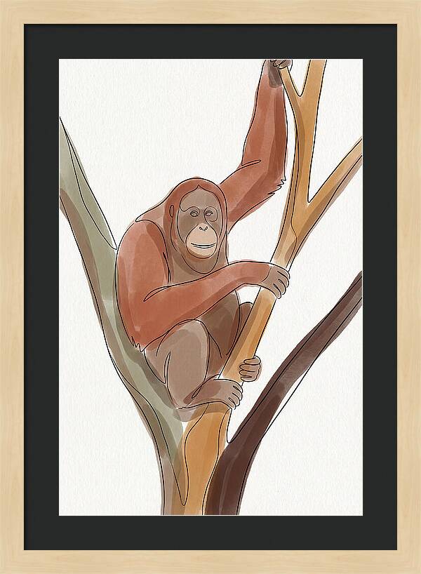 Orangutan Tree Dweller