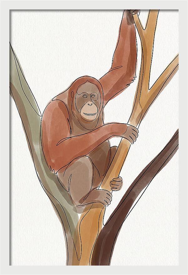 Orangutan Tree Dweller