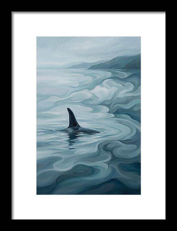Orca Fin Breaking Surface