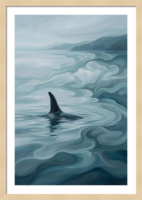 Orca Fin Breaking Surface