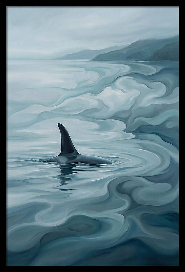 Orca Fin Breaking Surface