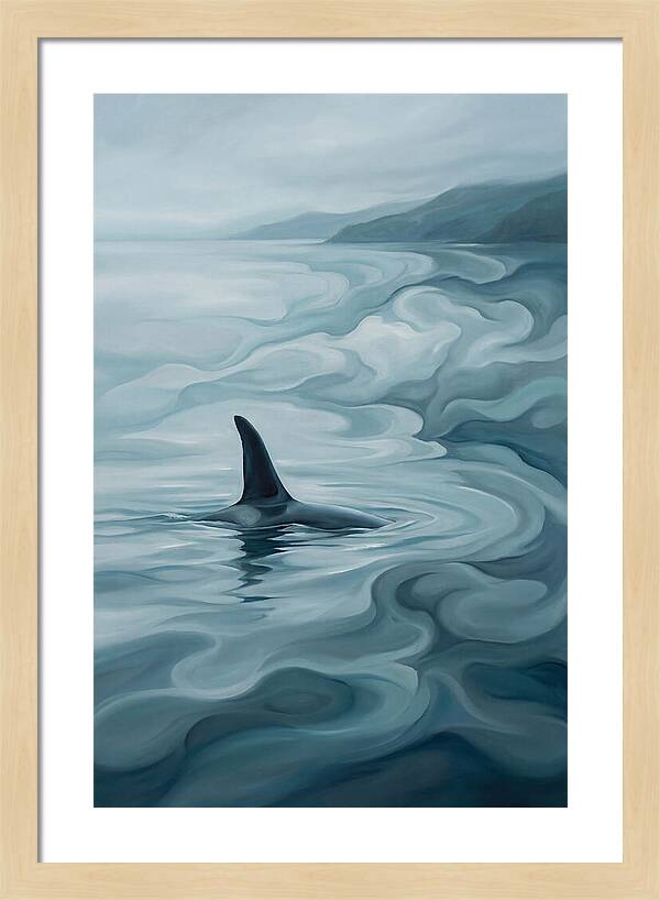 Orca Fin Breaking Surface