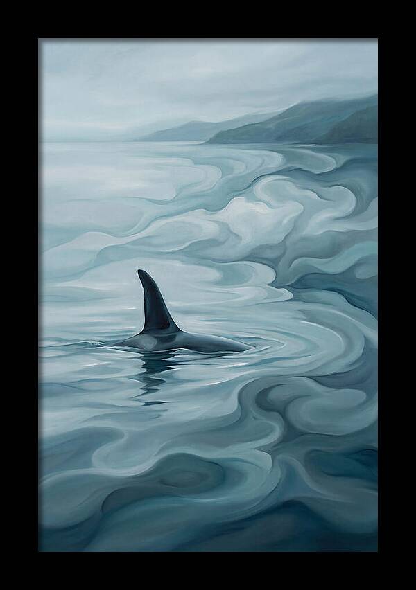 Orca Fin Breaking Surface