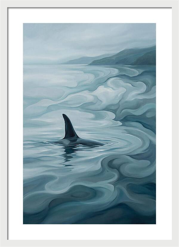 Orca Fin Breaking Surface