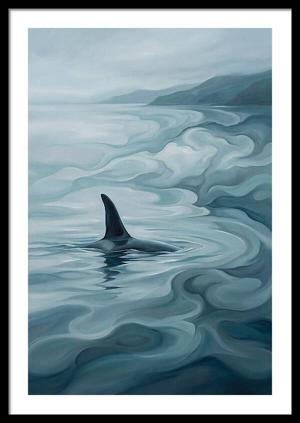 Orca Fin Breaking Surface