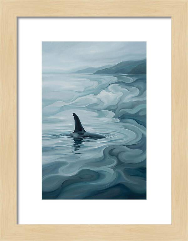 Orca Fin Breaking Surface
