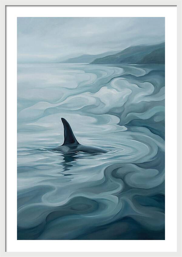 Orca Fin Breaking Surface