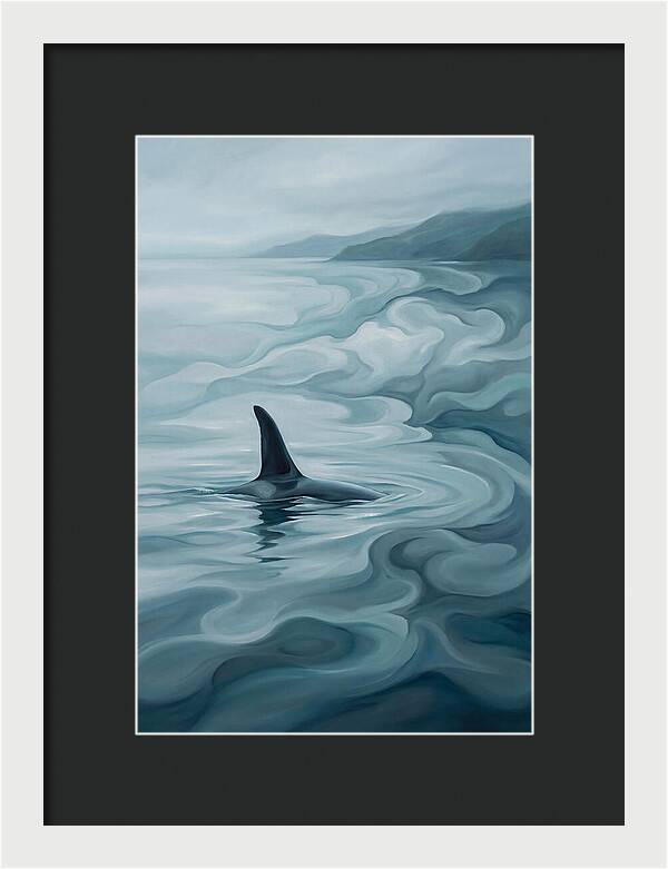 Orca Fin Breaking Surface