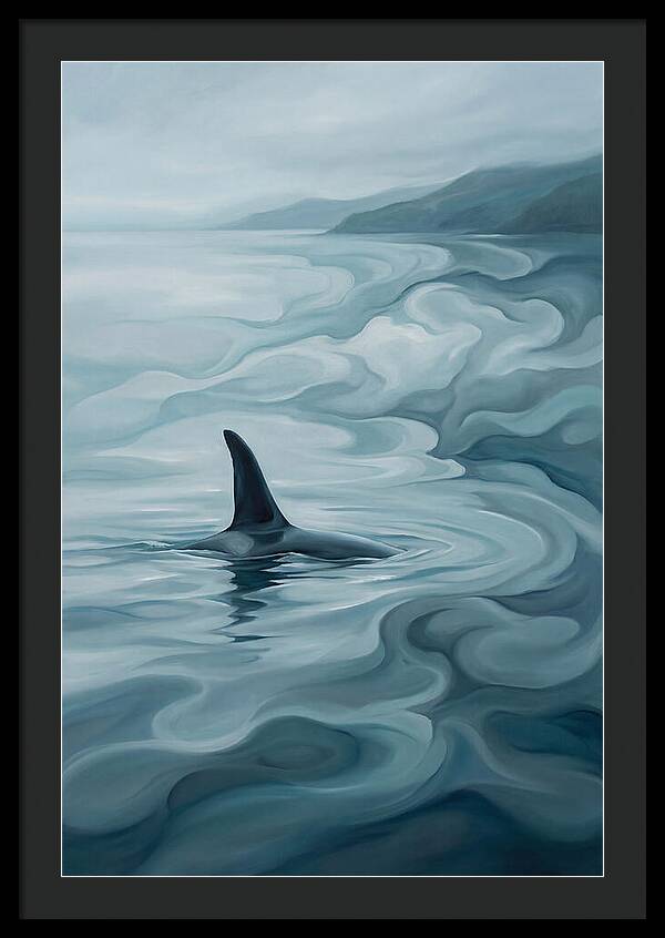 Orca Fin Breaking Surface