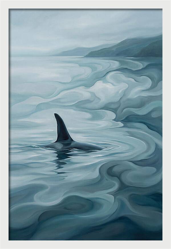 Orca Fin Breaking Surface