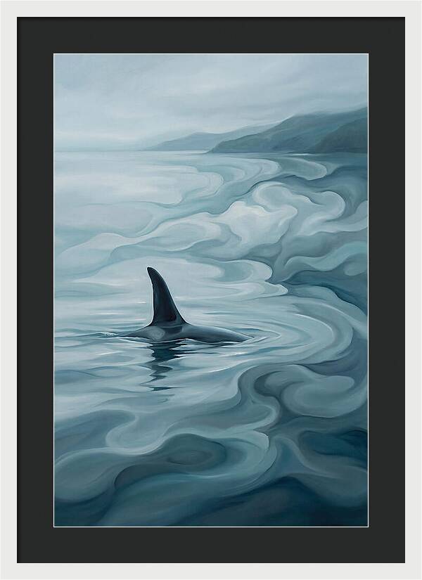Orca Fin Breaking Surface