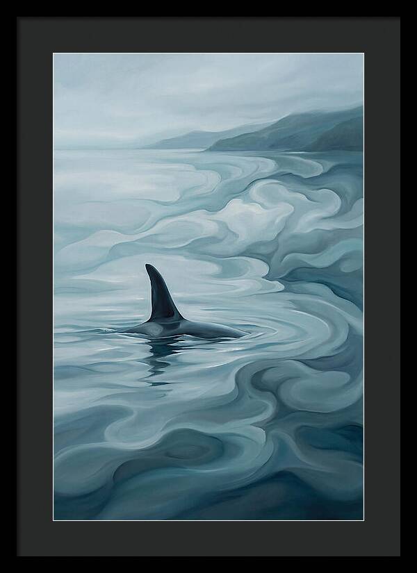 Orca Fin Breaking Surface