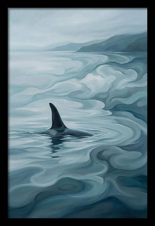Orca Fin Breaking Surface
