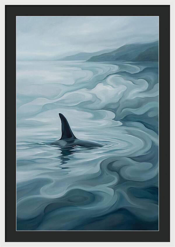 Orca Fin Breaking Surface