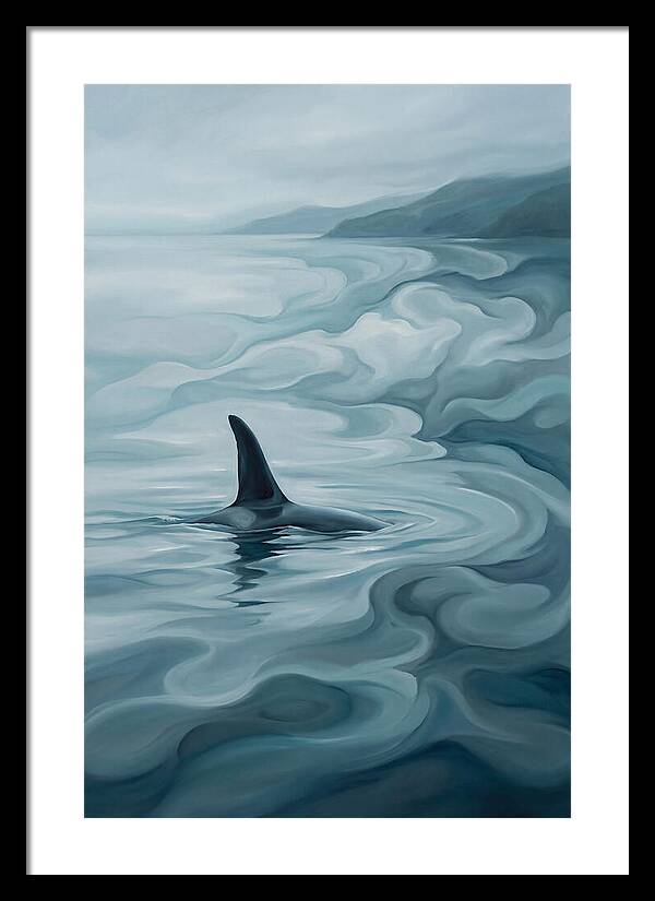 Orca Fin Breaking Surface