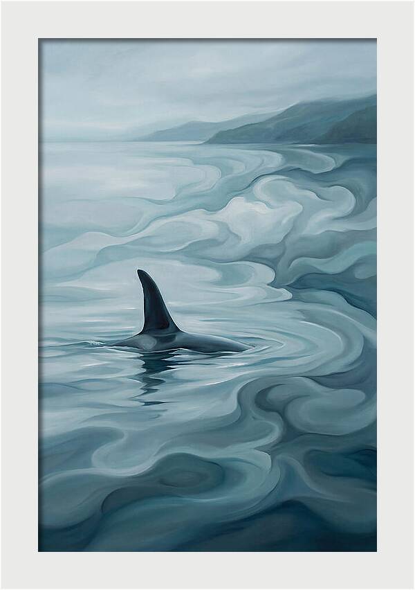 Orca Fin Breaking Surface