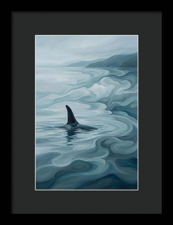 Orca Fin Breaking Surface