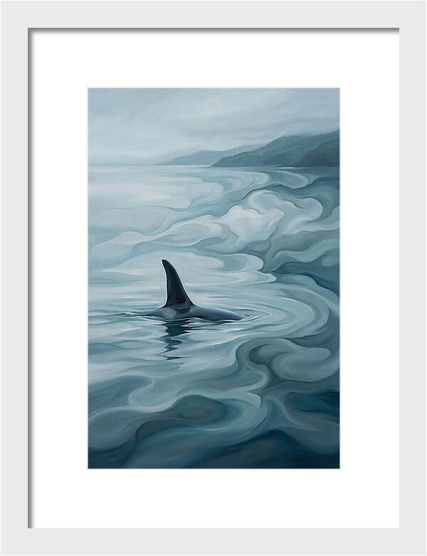 Orca Fin Breaking Surface