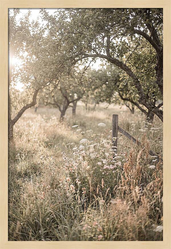 Orchard Meadow Serenity