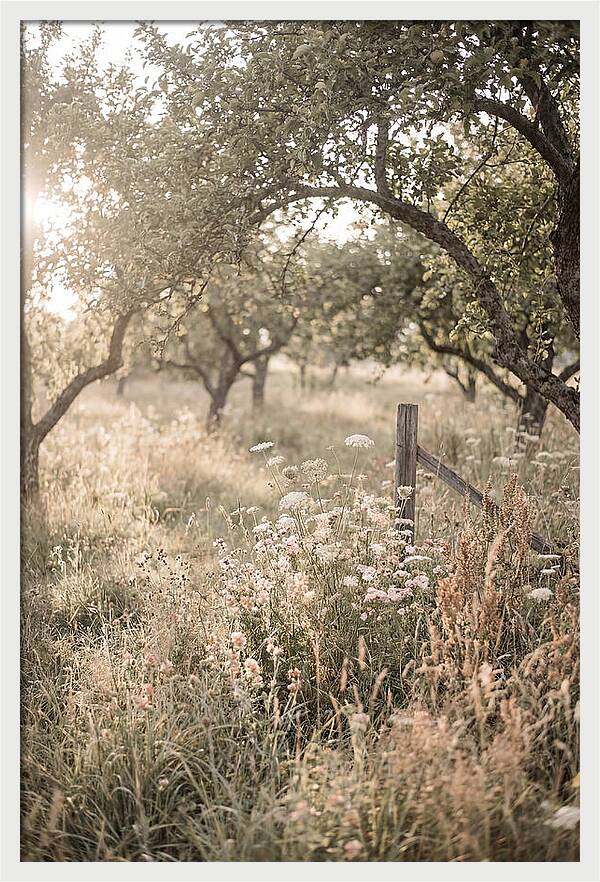 Orchard Meadow Serenity