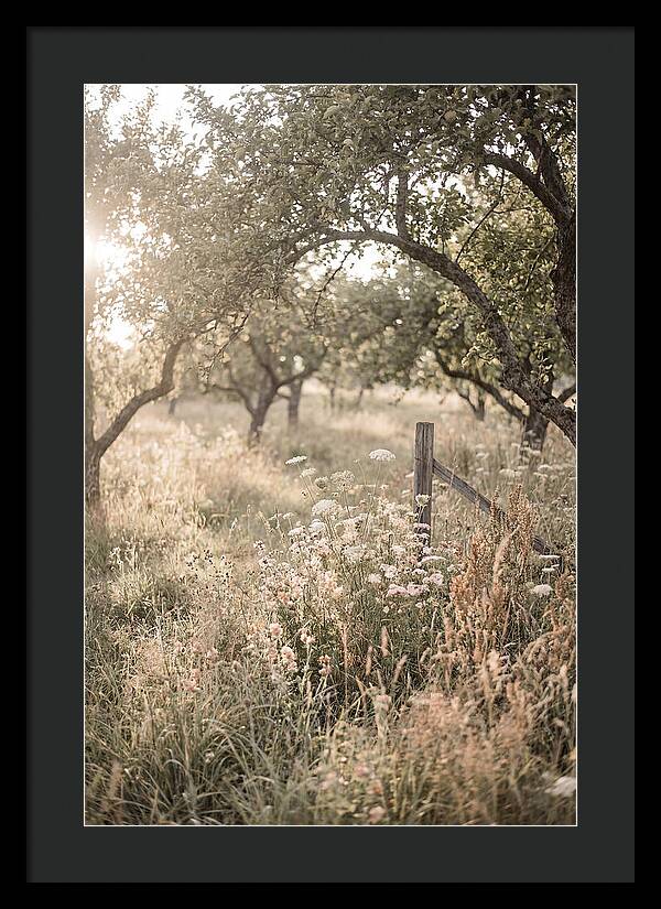 Orchard Meadow Serenity