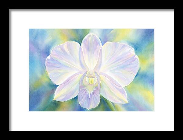 Orchid Blossom