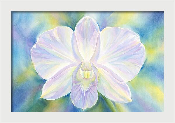 Orchid Blossom