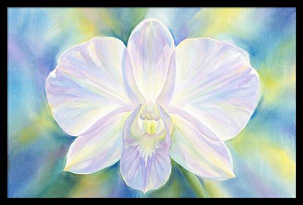 Orchid Blossom