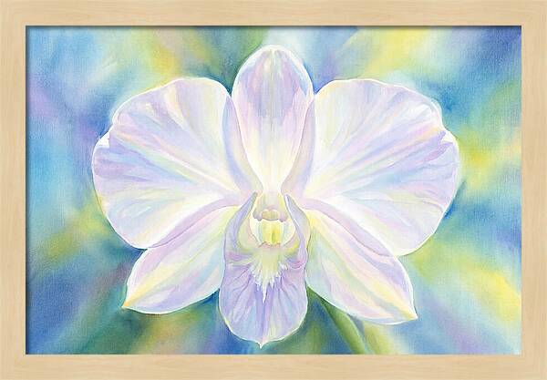 Orchid Blossom