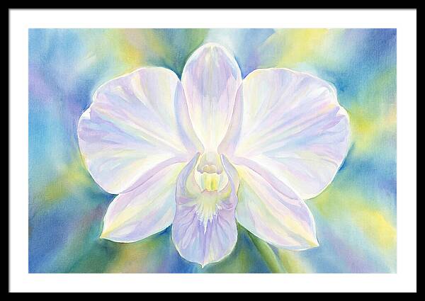 Orchid Blossom