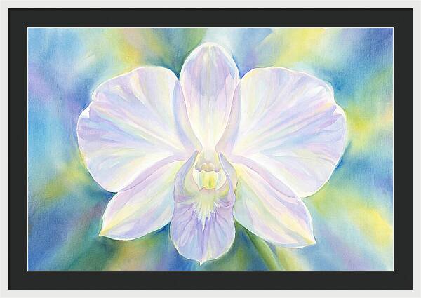 Orchid Blossom